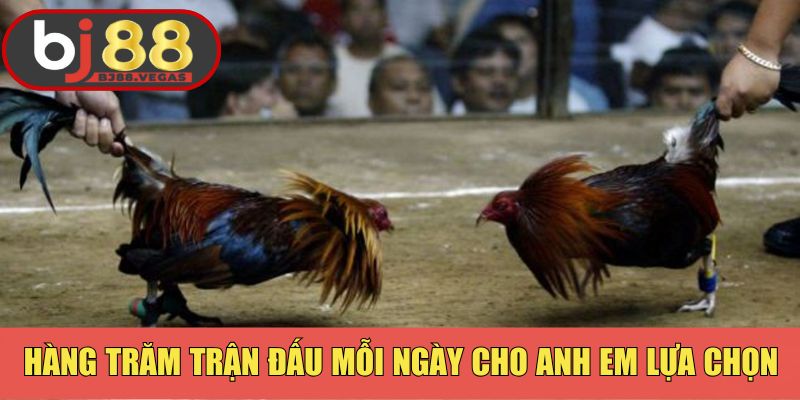 Hàng trăm trận đấu mỗi ngày cho anh em lựa chọn