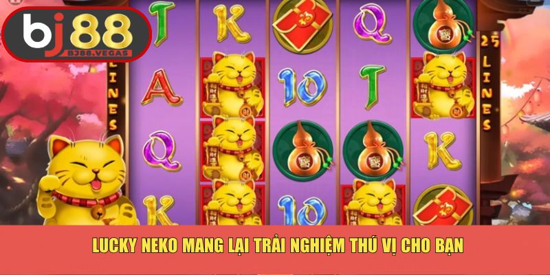 Lucky Neko mang lại trải nghiệm thú vị cho bạn